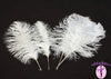 Complete Feather Centerpiece With 24" Vase (White) - Buy Ostrich Feathers