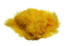 Ostrich Flexible Feathers 13-16" (Golden Yellow) - Buy Ostrich Feathers