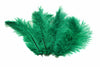 Ostrich Flexible Feathers 13-16" (Emerald Green) - Buy Ostrich Feathers