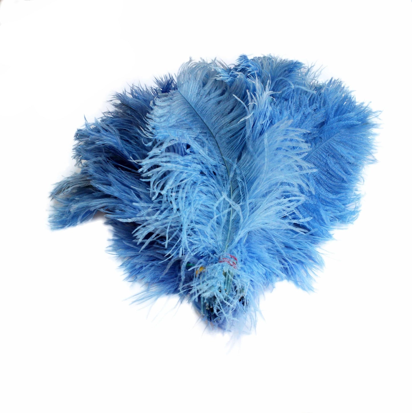 BULK 1/2lb Ostrich Feather Tail Plumes 15-20" (Baby Blue) - Buy Ostrich Feathers