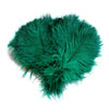 BULK 1/2lb Ostrich Feather Tail Plumes 15-20" (Emerald Green) - Buy Ostrich Feathers