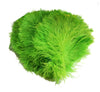 BULK 1/2lb Ostrich Feather Tail Plumes 15-20" (Lime Green) - Buy Ostrich Feathers