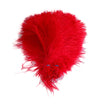BULK 1/2lb Ostrich Feather Tail Plumes 15-20" (Red) - Buy Ostrich Feathers
