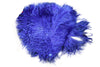 BULK 1/2lb Ostrich Feather Tail Plumes 15-20" (Royal Blue) - Buy Ostrich Feathers