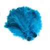 BULK 1/2lb Ostrich Feather Tail Plumes 15-20" (Turquoise) - Buy Ostrich Feathers