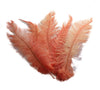 BULK 1/4lb Ostrich Feather Spad Plumes 12-16" (Apricot) - Buy Ostrich Feathers