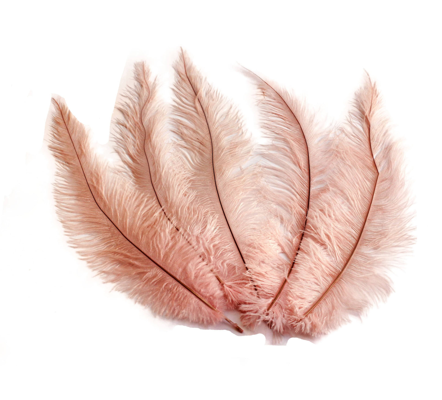 BULK 1/4lb Ostrich Feather Spad Plumes 12-16" (Baby Pink) - Buy Ostrich Feathers