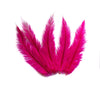 BULK 1/4lb Ostrich Feather Spad Plumes 12-16" (Fuschia) - Buy Ostrich Feathers