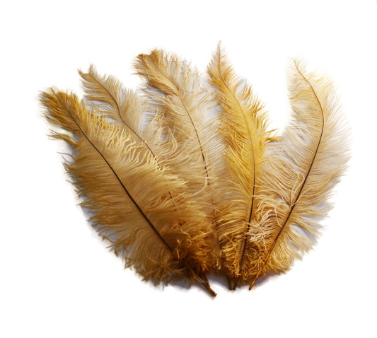 BULK 1/4lb Ostrich Feather Spad Plumes 12-16" (Gold) - Buy Ostrich Feathers