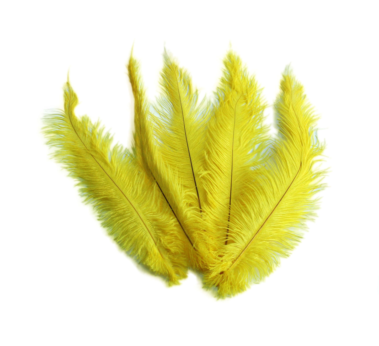 BULK 1/4lb Ostrich Feather Spad Plumes 12-16" (Yellow) - Buy Ostrich Feathers