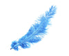 Ostrich Feather Spad Plumes 16-20" (Baby Blue) - Buy Ostrich Feathers
