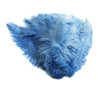 Ostrich Feather Spad Plumes 16-20" (Baby Blue) - Buy Ostrich Feathers