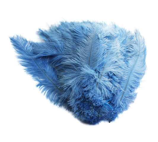 Ostrich Feather Spad Plumes 16-20" (Baby Blue) - Buy Ostrich Feathers