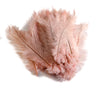 Ostrich Feather Spad Plumes 16-20" (Baby Pink) - Buy Ostrich Feathers