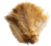 Ostrich Feather Spad Plumes 16-20" (Gold) - Buy Ostrich Feathers