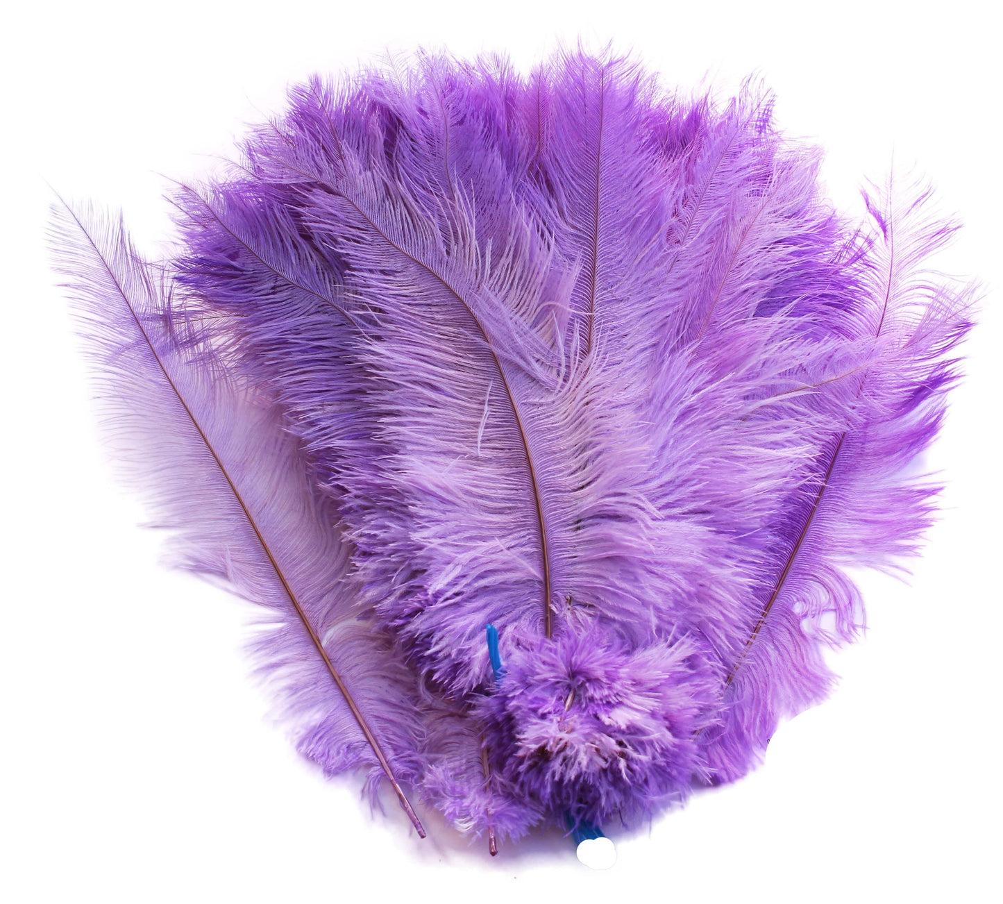 Ostrich Feather Spad Plumes 16-20" (Lavender) - Buy Ostrich Feathers
