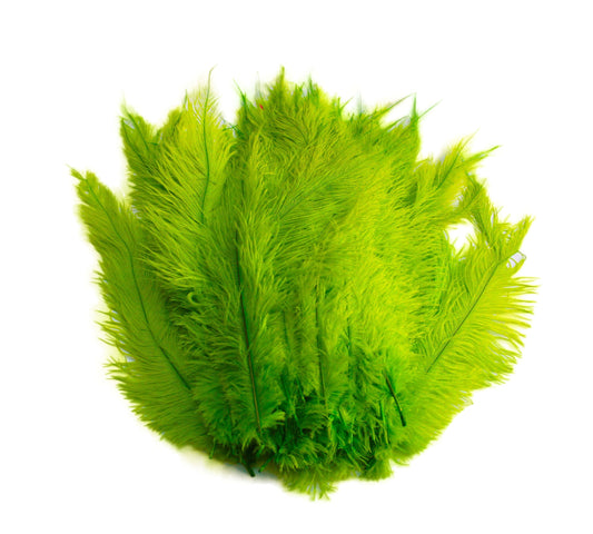 Ostrich Feather Spad Plumes 16-20" (Lime Green) - Buy Ostrich Feathers