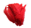 Ostrich Feather Spad Plumes 16-20" (Red) - Buy Ostrich Feathers