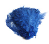 Ostrich Feather Spad Plumes 16-20" (Royal Blue) - Buy Ostrich Feathers