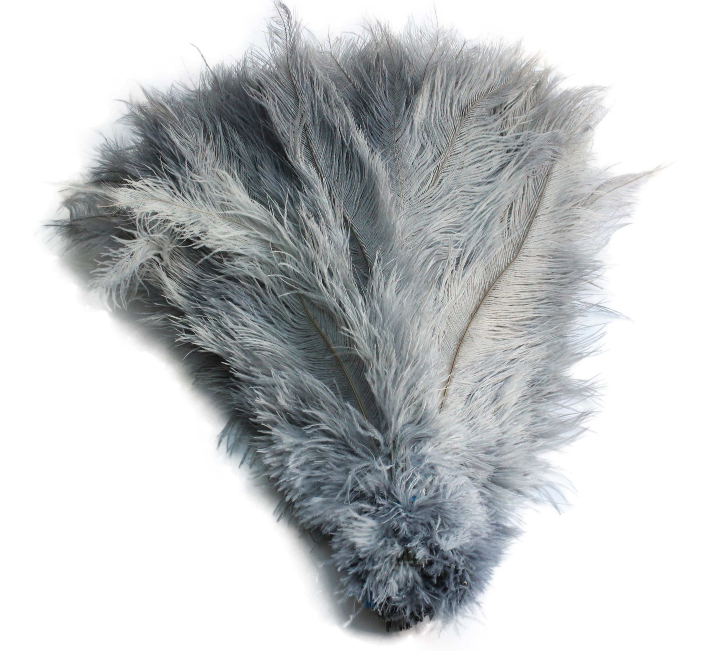 Ostrich Feather Spad Plumes 16-20" (Silver/Grey) - Buy Ostrich Feathers