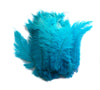 Ostrich Feather Spad Plumes 16-20" (Turquoise) - Buy Ostrich Feathers