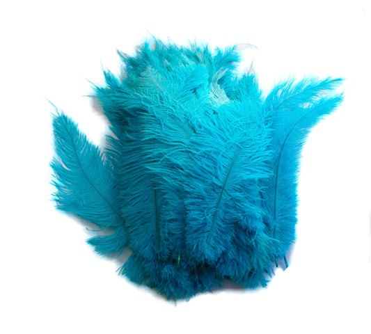 Ostrich Feather Spad Plumes 16-20" (Turquoise) - Buy Ostrich Feathers