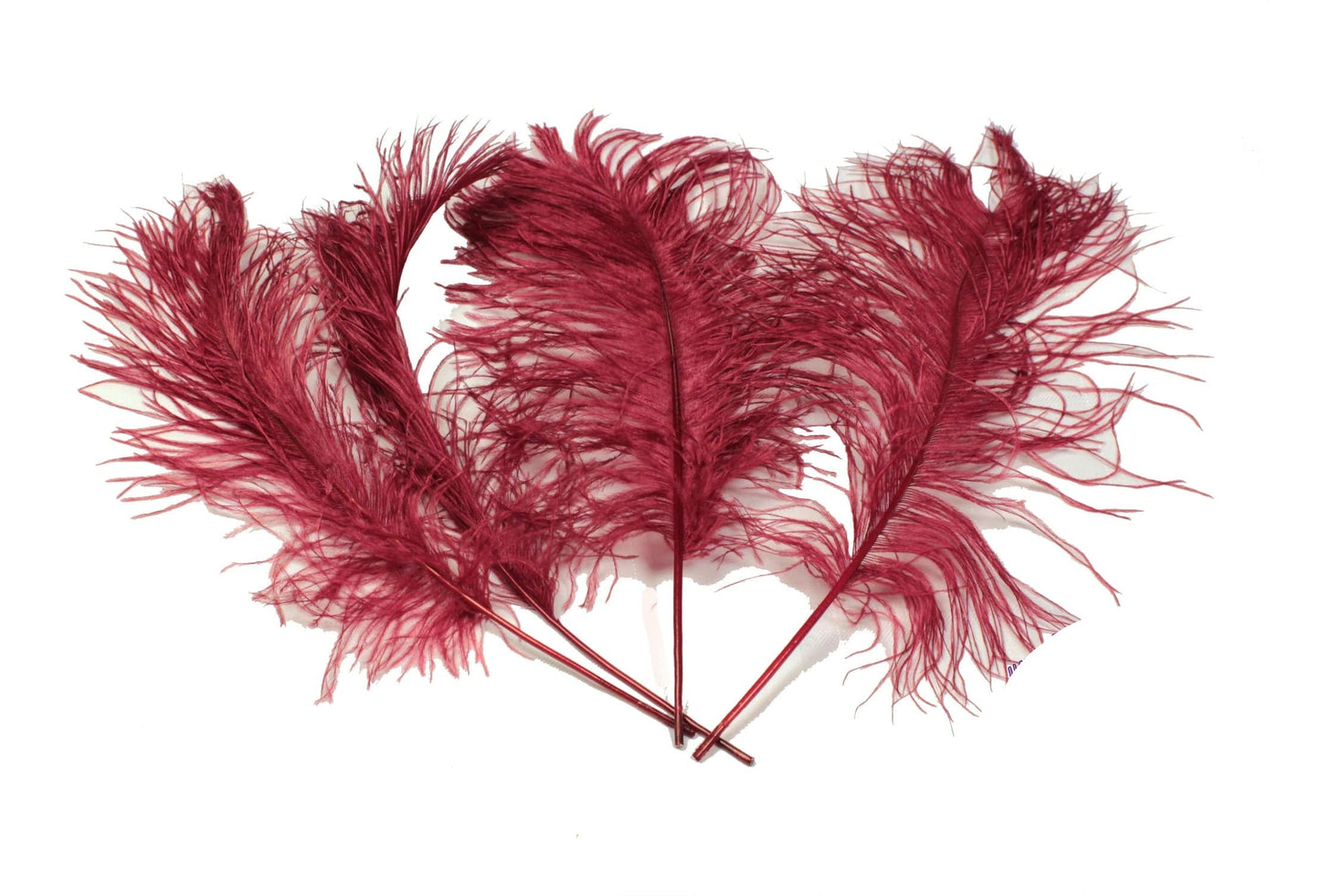 Ostrich Feather Tail Plumes 11-14" (Burgundy) - Buy Ostrich Feathers
