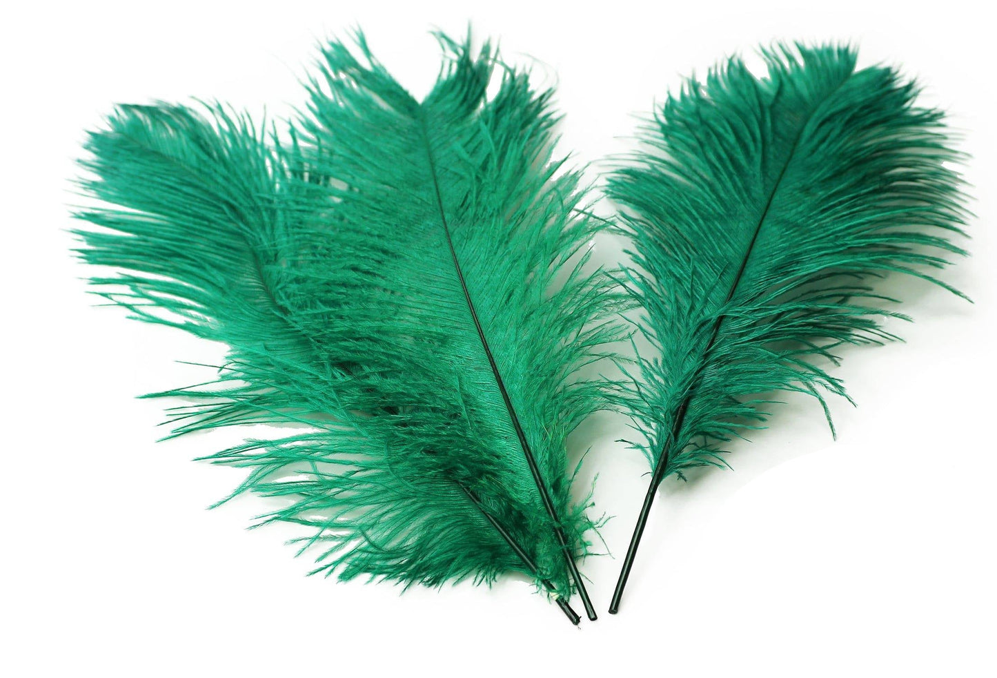 Ostrich Feather Tail Plumes 11-14" (Emerald Green) - Buy Ostrich Feathers