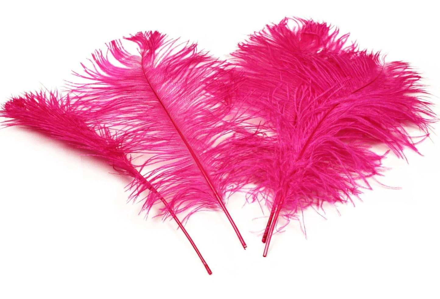 Ostrich Feather Tail Plumes 13-16" (Fuchsia) - www.BuyOstrichFeathers.com