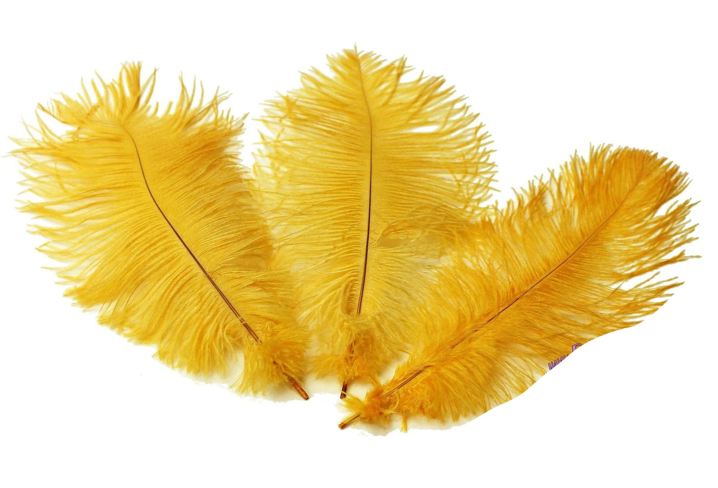 Ostrich Feather Tail Plumes 17-20" (Golden Yellow) - www.BuyOstrichFeathers.com