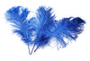 Ostrich Feather Tail Plumes 11-14" (Royal Blue) - Buy Ostrich Feathers