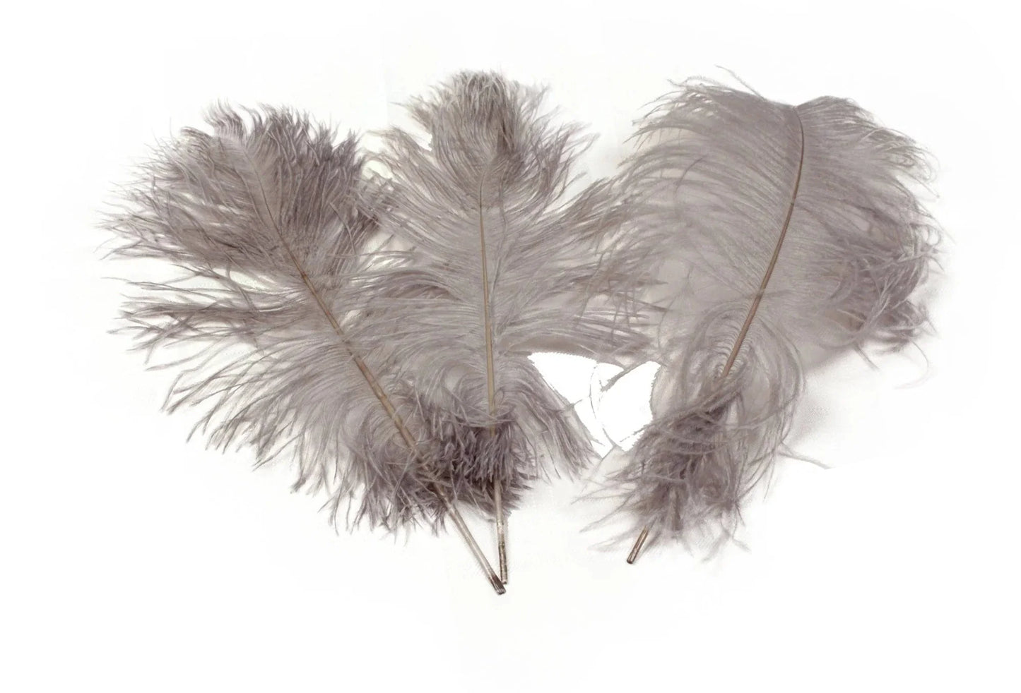 Ostrich Feather Tail Plumes 17-20" (Silver/Grey) - www.BuyOstrichFeathers.com