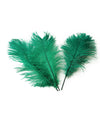Ostrich Feather Tail Plumes 15-18" (Emerald Green) - Buy Ostrich Feathers