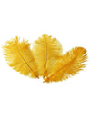 Ostrich Feather Tail Plumes 15-18" (Golden Yellow) - Buy Ostrich Feathers