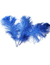 Ostrich Feather Tail Plumes 15-18" (Royal Blue) - Buy Ostrich Feathers