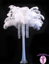 Ostrich Feather Tail Plumes 15-18" (White) - Buy Ostrich Feathers