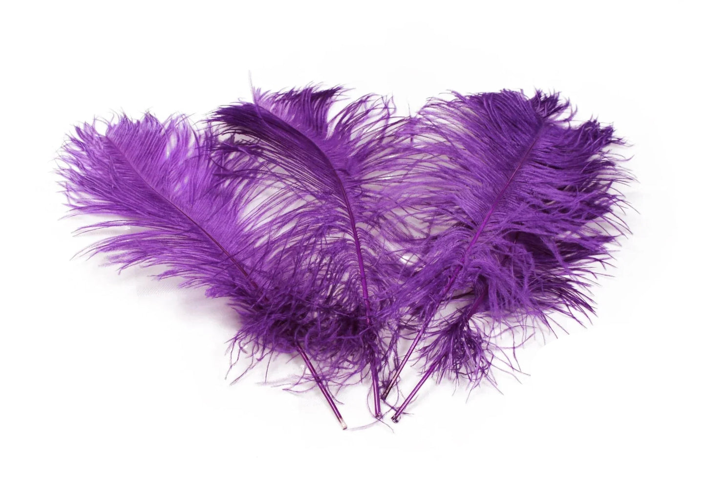 Ostrich Feather Tail Plumes 13-16" (Purple) - www.BuyOstrichFeathers.com
