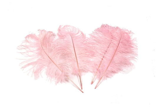 Ostrich Feather Tail Plumes 9-12" (Baby Pink) - Buy Ostrich Feathers