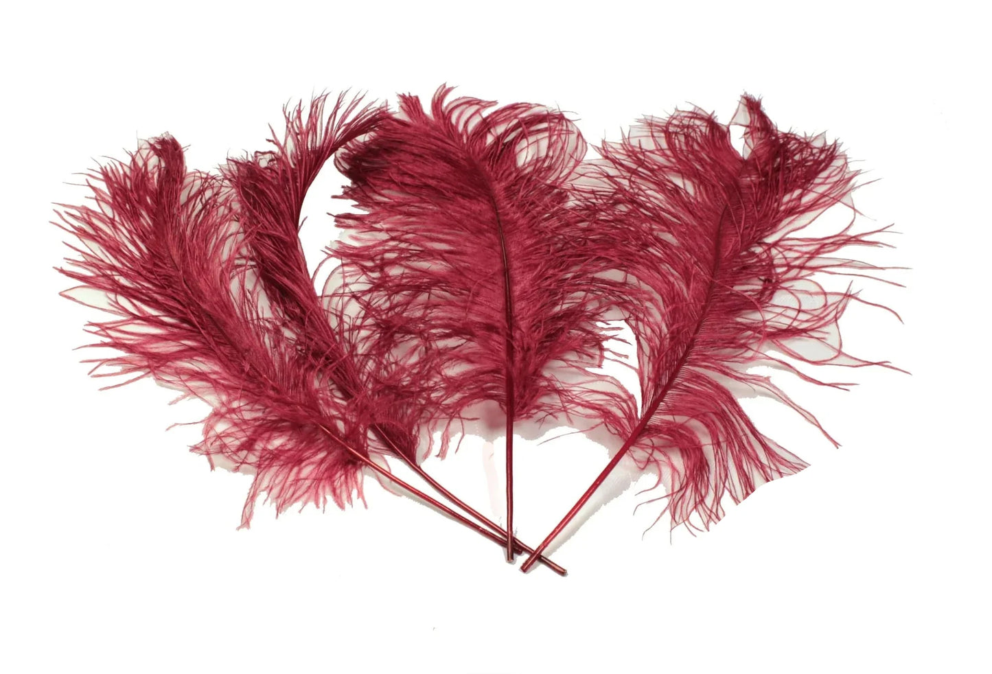 Ostrich Feather Tail Plumes 17-20" (Burgundy) - www.BuyOstrichFeathers.com