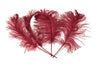 Ostrich Feather Tail Plumes 15-18" (Burgundy) - www.BuyOstrichFeathers.com