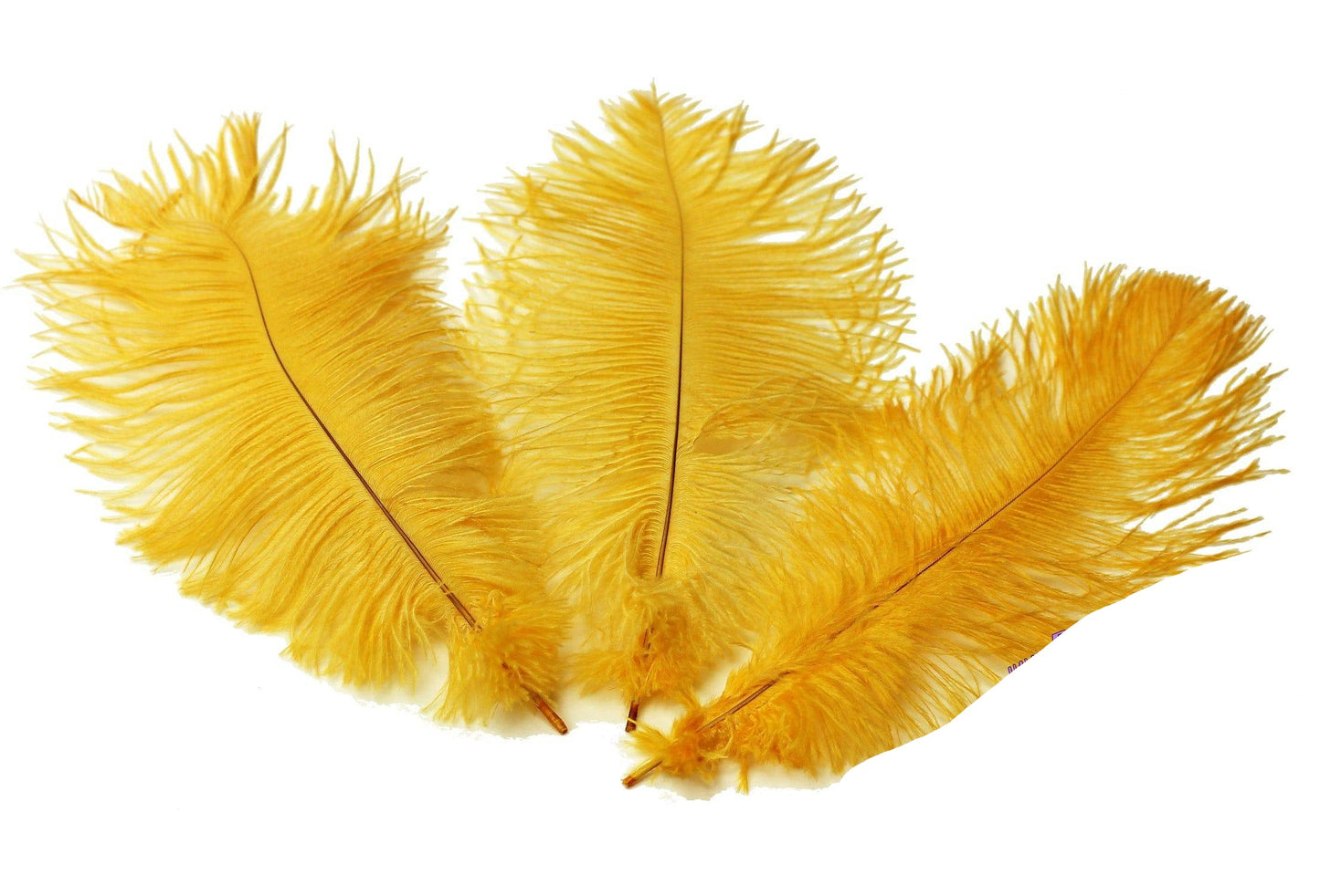 Ostrich Feather Tail Plumes 9-12" (Golden Yellow) - Buy Ostrich Feathers