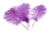 Ostrich Feather Tail Plumes 9-12" (Lavender) - Buy Ostrich Feathers