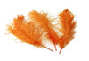 Ostrich Feather Tail Plumes 9-12" (Orange) - Buy Ostrich Feathers