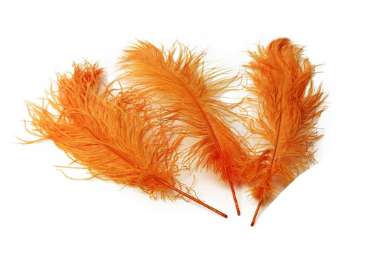 Ostrich Feather Tail Plumes 9-12" (Orange) - Buy Ostrich Feathers