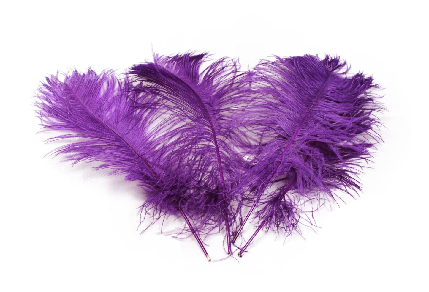 Ostrich Feather Tail Plumes 9-12" (Purple) - Buy Ostrich Feathers