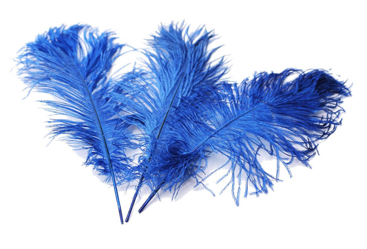 Ostrich Feather Tail Plumes 9-12" (Royal Blue) - Buy Ostrich Feathers