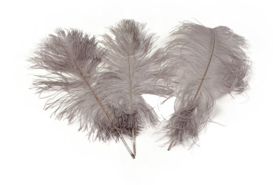 Ostrich Feather Tail Plumes 9-12" (Silver/Grey) - Buy Ostrich Feathers