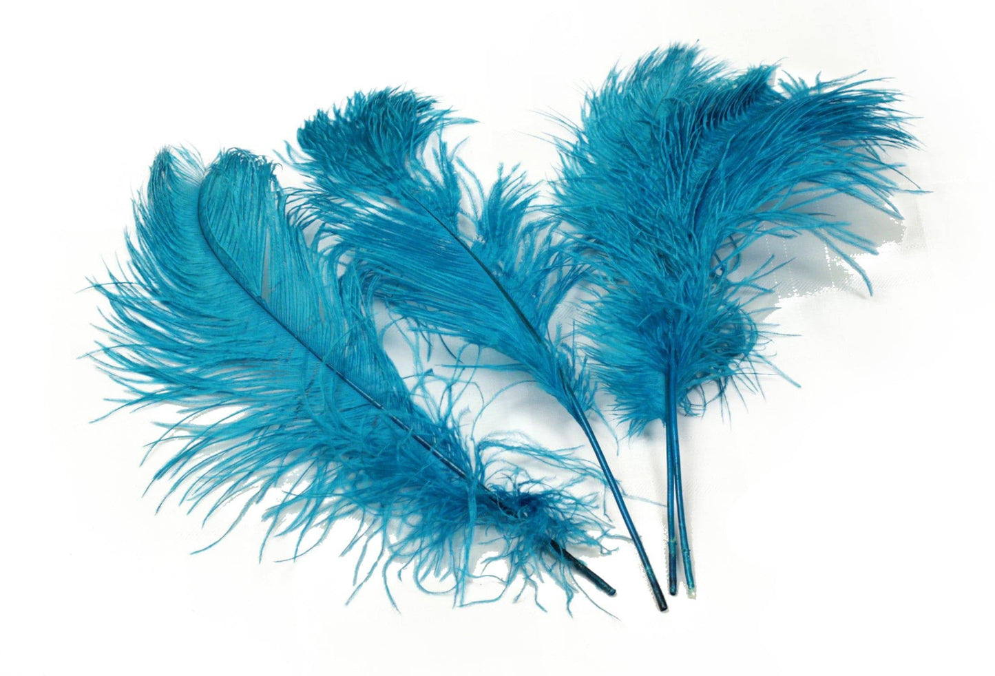 Ostrich Feather Tail Plumes 9-12" (Turquoise) - Buy Ostrich Feathers