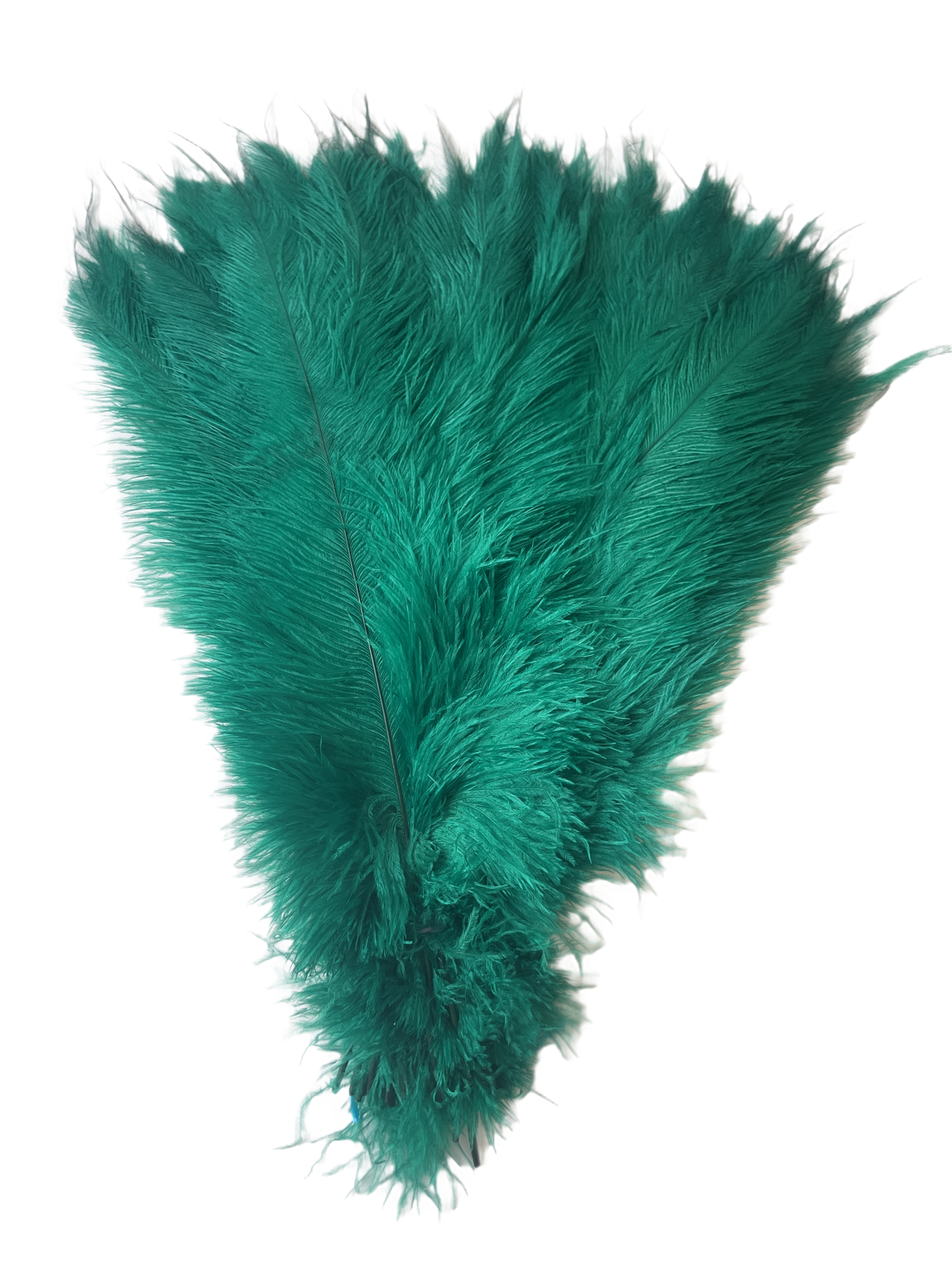 BULK 1/4lb Ostrich Feather Spad Plumes 12-16" (Emerald Green) - Buy Ostrich Feathers