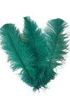 Ostrich Feather Spad Plumes 12-15" (Emerald Green) - Buy Ostrich Feathers